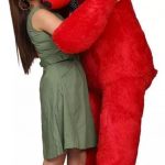 2_FT_soft__cute_loveable_huggable_teddy_bear_23.56_image_1.jpg