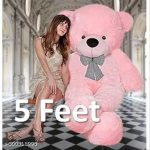 5_Feet_Soft_Teddy_Bear_For_Birthday_Party_-_152_cm_image_1.jpg