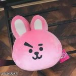 Bear_Bucket_Merch_Plush_Large_14__Cushion_Dust_Cov_image_1.jpg
