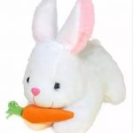 Beautiful_Rabbit_Stuffed_Toys__single__image_1.jpg