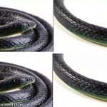 Fun_Rubber_Snake_Toy_Real_Cobra_Prank_Toy_Cobra_fo_image_1.jpg