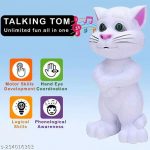 Intelligent_Talking_Tom_Speaking_Cat_Voice_Repeat__image_1.jpg