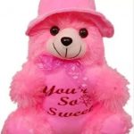 Latest_Unisex_Soft_Toys_image_1.jpg