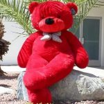 MSY-2_feetRed_teddy_bear_for_birthday11_image_1.jpg