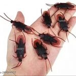Maddy_Group_Kids_Toy_Fake_Cockroaches_6_pc_Simulat_image_1.jpg