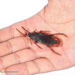 Maddy_Group_Kids_Toy_Fake_Cockroaches_6_pc_Simulat_image_1.jpg