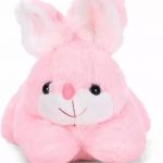 Pink_Rabbit_And_Pink_Rabbit_Carrot__Best_Gift_For__image_1.jpg