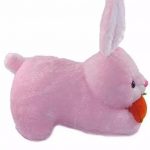 Pink_Rabbit_And_Pink_Rabbit_Carrot__Best_Gift_For__image_1.jpg