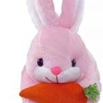 Pink_Rabbit_And_Pink_Rabbit_Carrot__Best_Gift_For__image_1.jpg