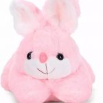 Pink_Rabbit_And__White_Rabbit_Carrot_Best_Gift_For_image_1.jpg
