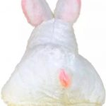Pink_Rabbit_And__White_Rabbit_Carrot_Best_Gift_For_image_1.jpg