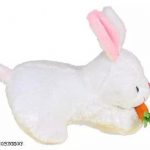Pink_Rabbit_And__White_Rabbit_Carrot_Best_Gift_For_image_1.jpg