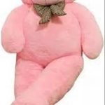 RUBY_TRADERS_SOFT_TOYS_LOVER_teddy_bear_pink_color_image_1.jpg