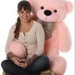 RUBY_TRADERS_SOFT_TOYS_LOVER_teddy_bear_pink_color_image_1.jpg