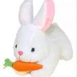 Rabbit_Soft_Toy__26_cm__and_Panda_Soft_Toy__26_cm_image_1.jpg