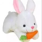 Rabbit_Soft_Toy__26_cm__and_Panda_Soft_Toy__26_cm_image_1.jpg