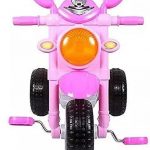 Royal_Baby_Bullet_Rider_Baby_Tricycle_Ride-On_with_image_1.jpg