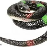 Snake_Fake_Rubber_Realistic_Snake_Prank_Toy_for_ki_image_1.jpg