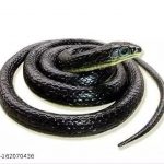 Snake_Fake_Rubber_Realistic_Snake_Prank_Toy_for_ki_image_1.jpg