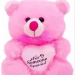 Soft_Lovable_Hugable_For_Someone_Special_Teddy_Be_image_1.jpg
