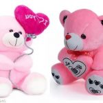 Valentine_Special_Combo_Pack_Pink_Balloon_Teddy_An_image_1.jpg