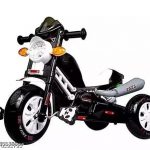 ricy_STORE_Panda_Java_Tricycle__try_cycling_for_ki_image_1.jpg