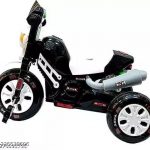 ricy_STORE_Panda_Java_Tricycle__try_cycling_for_ki_image_1.jpg