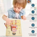 wooden_parts_of_body_puzzle_games_and_learning_boa_image_1.jpg
