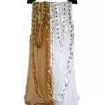 Chiffon_Dupatta_With_Four_Side_Mirror_Lace___2_pic_image_1.jpg