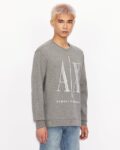 Men Regular Fit Hoodie