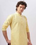 Men Embroidered Regular Fit Long Kurta
