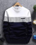 Men Colourblock Regular Fit Sweatshirt