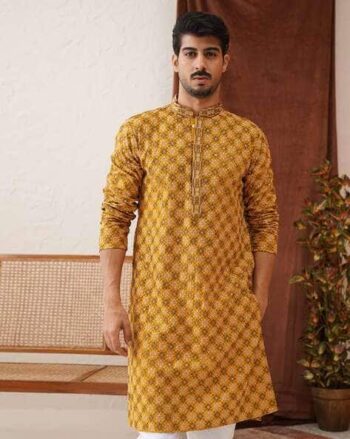 Regular Fit Embroidery Long Kurta