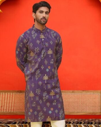 Regular Fit Long Kurta