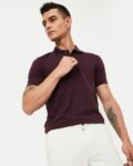 Men Regular Fit Polo T-Shirt