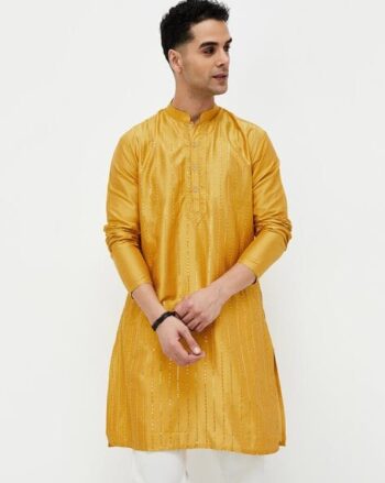 Men Embroidered Regular Fit Kurta