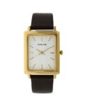 Men Water-Resistant Analogue Watch-NT7078YL01