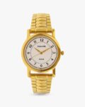 Men Water-Resistant Analogue Watch-NT77049YM03