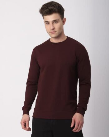 Men Regular Fit Crew-Neck Sweatshirt