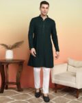 Men Embroidered Long Kurta with Mandarin Collar