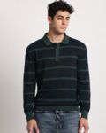Men Striped Regular Fit Polo T-Shirt