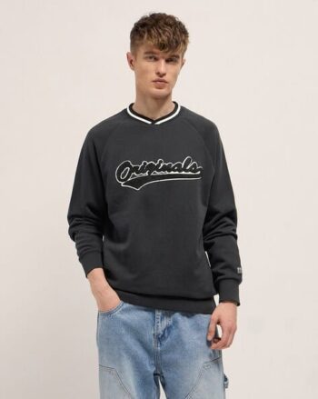 Men Typographic Print Regular Fit Hooded Sweatshirt