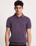 Men Regular Fit Polo T-Shirt