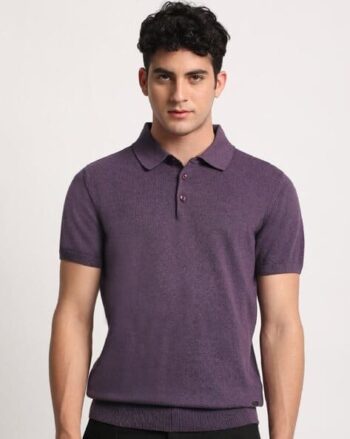 Men Regular Fit Polo T-Shirt