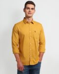 Men Cotton Regular Fit Shirt